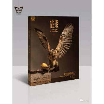 正版2018画中话征服联考素描静物照片 美术生联考神器照片书 pdf epub mobi 电子书 下载