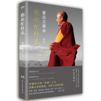 正版 你在忙什麼 藏傳佛教上師《苦纔是人生》作者索達吉堪 pdf epub mobi 電子書 下載