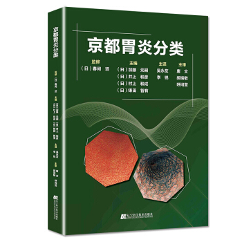 京都胃炎分类 胃炎分类辅助诊断治疗参考书籍 pdf epub mobi 电子书 下载
