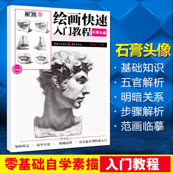敲門磚繪畫快速入門教程石膏頭像 美術藝考入門基礎素描自學書從零起步到快速入門五官基礎石膏像素描書