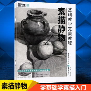 敲门砖基础教学教程素描静物 零基础学素描 从入门到精通强化基础训练单个步骤组合精讲基础范画临摹素 pdf epub mobi 电子书 下载