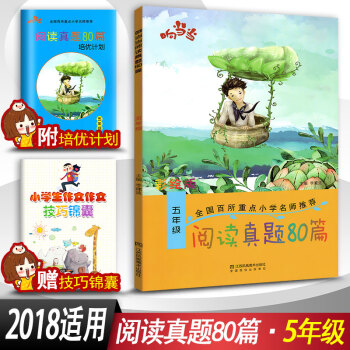 阅读真题80篇五年级上下册阅读书期中期末单元试题 彩绘版 小学5年级阅读课教学参考资料书读写训练习题 pdf epub mobi 电子书 下载