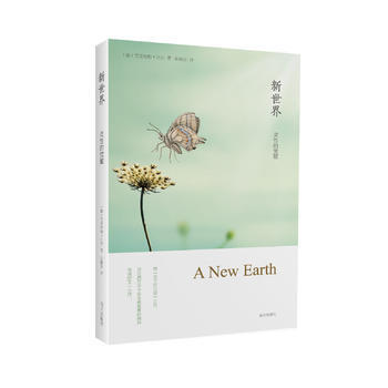 新世界:靈性的覺醒 (德)艾剋哈特.托爾；張德芬 9787807601944 pdf epub mobi 電子書 下載