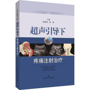 超声引导下疼痛注射治疗 pdf epub mobi 电子书 下载