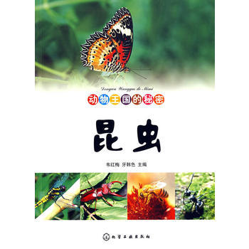 旧书二手正版动物王国的秘密--昆虫 韦红梅,牙韩色 9787122016232 化学工业出 pdf epub mobi 电子书 下载