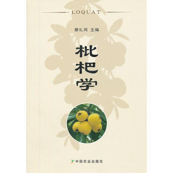 正版 枇杷学 pdf epub mobi 电子书 下载