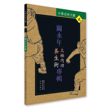 關永年專輯(太極內功養生術)/中華武術大觀 9787535291592 pdf epub mobi 電子書 下載