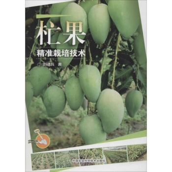 杧果精准栽培技术 刘德兵 著 农业基础科学专业科技 新华书店正版图书籍 中国农业科学技术出版社 图片色 pdf epub mobi 电子书 下载