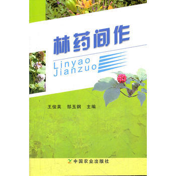 林药间作 王俊英,郜玉钢 pdf epub mobi 电子书 下载