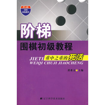阶梯围棋初级教程重中之重的死活 黄希文 9787538156126 pdf epub mobi 电子书 下载