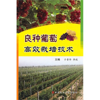 良种葡萄高效栽培技术 于景华,李欣 9787502368838 pdf epub mobi 电子书 下载