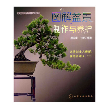 家庭园艺DIY系列--图解盆景制作与养护 盆景制作大图解！盆景养护全公开！盆景爱好者 办公室盆景 pdf epub mobi 电子书 下载