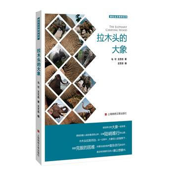 拉木頭的大象 馬可 王藝忠 王藝忠 攝
