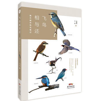 飛鳥相與還：南方城市觀鳥筆記9787218119076 廣東人民齣版社 曾毅峰,吳娟 pdf epub mobi 電子書 下載