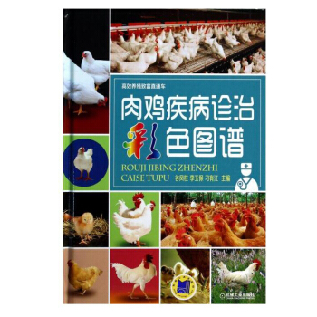 肉雞疾病診治彩色圖譜 科學養雞培訓教材 養雞 雞病圖解 雞病防治技術書籍 診斷和防治關鍵技術問答 pdf epub mobi 電子書 下載