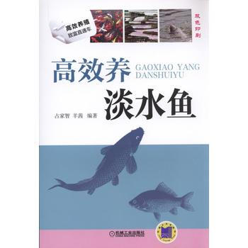 高效养殖致富直通车:高效养淡水鱼 占家智,羊茜著 9787111512851 pdf epub mobi 电子书 下载