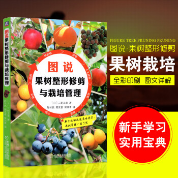 彩印新版 大棚农业种植技术大全书籍果树种植栽培园林嫁接苗木整形修剪与管理教程 果树病虫害诊断防治图解 pdf epub mobi 电子书 下载