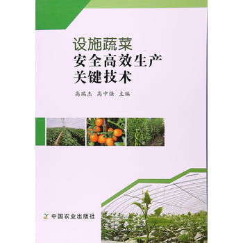 BF:设施蔬菜安全高效生产关键技术 高瑞杰,高中强 中国农业出版社 97871092268 pdf epub mobi 电子书 下载