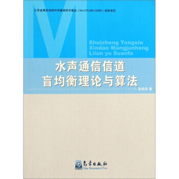 水聲通信信道盲均衡理論與算法 pdf epub mobi 電子書 下載