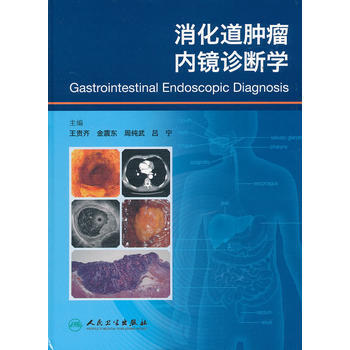 消化道肿瘤内镜诊断学 王贵齐 等 9787117142694 pdf epub mobi 电子书 下载