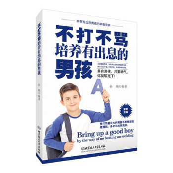 不打不骂培养有出息的男孩 pdf epub mobi 电子书 下载