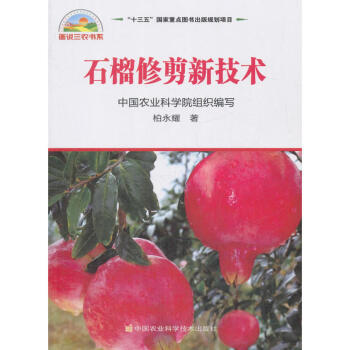 正版 石榴修剪新技术 农业林业 林业 石榴修剪技术的理想参考书 石榴树的基特点 石榴树维持修剪 柏永 pdf epub mobi 电子书 下载