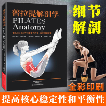 普拉提解剖學 提高核心穩定性和平衡性的墊上運動圖解指南 普拉提瑜伽教程書籍 普拉提訓練入門動作要領 pdf epub mobi 電子書 下載
