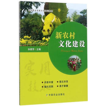 新农村文化建设9787109230088 中国农业出版社 孙惠芳 pdf epub mobi 电子书 下载