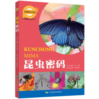 BF:昆蟲密碼-身邊的大自然 趙博,程曉鼕 遼寜師範大學齣版社 9787565224799 pdf epub mobi 電子書 下載