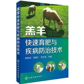 羔羊快速育肥与疾病防治技术 pdf epub mobi 电子书 下载