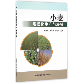 小麦规模化生产与决策 冀保毅,冀洪策,张国臣 pdf epub mobi 电子书 下载