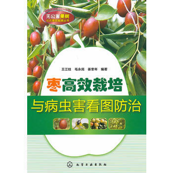 无公害果树优质高效栽培丛书--枣高效栽培与病虫害看图防治 pdf epub mobi 电子书 下载