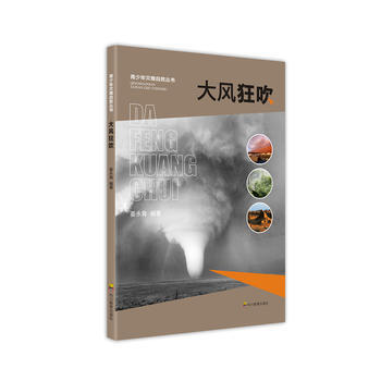 大风狂吹 pdf epub mobi 电子书 下载