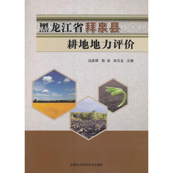 黑龙江省拜泉县耕地地力评价 汤彦辉,程岩,孙玉龙 pdf epub mobi 电子书 下载