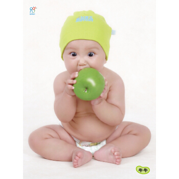 宝宝海报照片宝宝画报漂亮可爱男婴儿画像孕妇备孕胎教图片墙贴画 宝宝挂图：牛牛 pdf epub mobi 电子书 下载