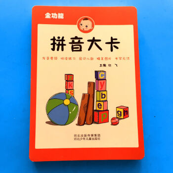 拼音大卡 带四声调多功能练习小学生声母韵母整体音节套装有图儿童学前幼儿园小学生一年级汉语学习儿歌拼音 pdf epub mobi 电子书 下载