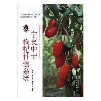 寜夏中寜枸杞種植係統9787109227774 中國農業齣版社 梁勇,閔慶文,王海榮 pdf epub mobi 電子書 下載