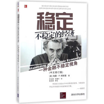 穩定不穩定的經濟:一種金融不穩定視角(中文修訂版) pdf epub mobi 電子書 下載
