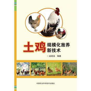 土鸡规模化放养新技术9787511617927 中国农业科学技术出版社 赵昌廷著 pdf epub mobi 电子书 下载
