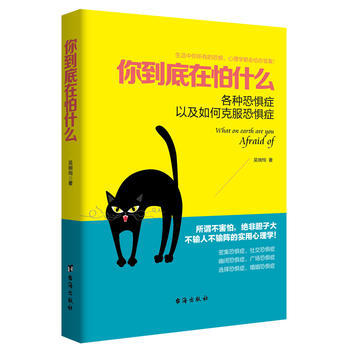你到底在怕什么:各种恐惧症以及如何克服恐惧症 吴婉绚 pdf epub mobi 电子书 下载