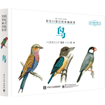 彩色口袋自然珍藏图鉴 鸟（全彩） pdf epub mobi 电子书 下载