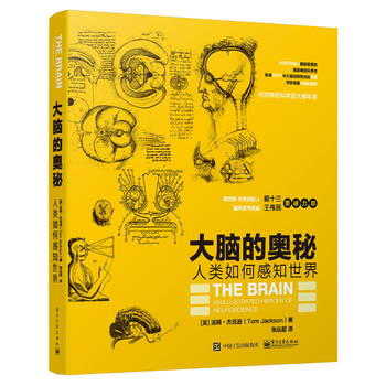 大腦的奧秘：人類如何感知世界 pdf epub mobi 電子書 下載