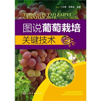 图说葡萄栽培关键技术 pdf epub mobi 电子书 下载