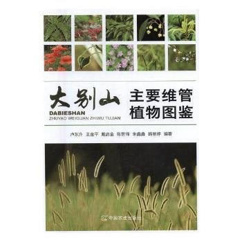 大别山主要维管植物图鉴9787109229761 中国农业出版社 卢东升 pdf epub mobi 电子书 下载