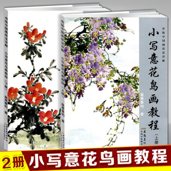 2本 小寫意花鳥畫教程上下冊傳統中國畫技法講解水墨畫技法詳解皇甫秉鈞著美術繪畫教材初學國畫書入門花鳥 pdf epub mobi 電子書 下載