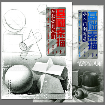 智品 共兩冊基礎素描從初識到精通上下冊 入門自學結構靜物繪畫零基礎學素描美術素描基礎教程書繪畫鉛筆素 pdf epub mobi 電子書 下載