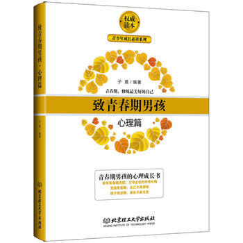 致青春期男孩：心理篇 pdf epub mobi 电子书 下载