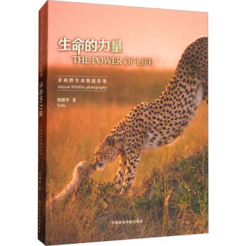 生命的力量:非洲野生動物攝影集 pdf epub mobi 電子書 下載