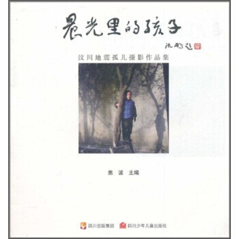 晨光裏的孩子：汶川地震孤兒攝影作品集 pdf epub mobi 電子書 下載