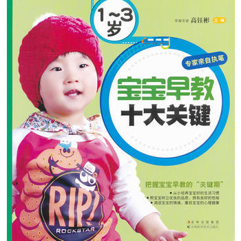 1-3岁宝宝早教十大关健 pdf epub mobi 电子书 下载